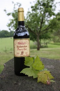 Biddenden-Pinot-Noir-2011-Most-outstanding-English-red-wine