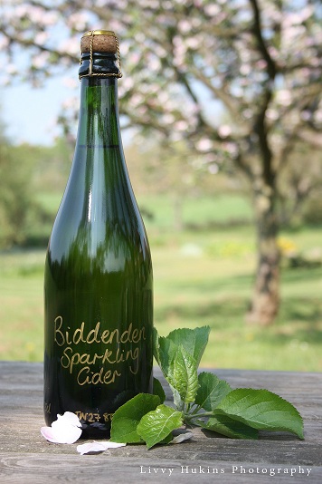 biddenden-sparkling-cider-1