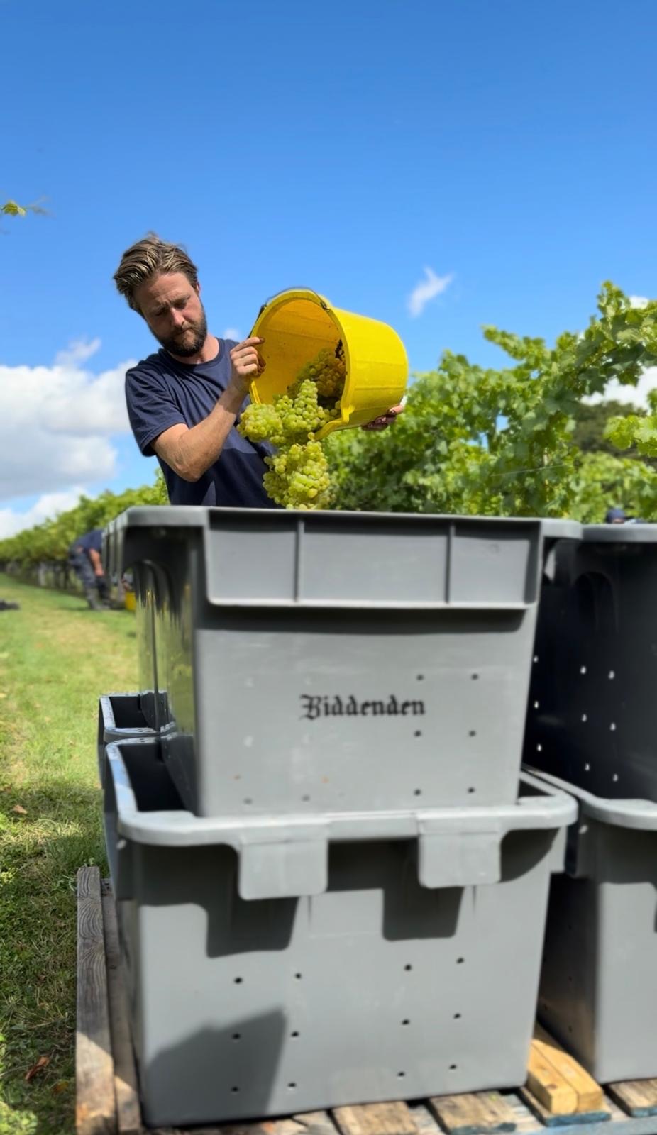 Vineyard Manager