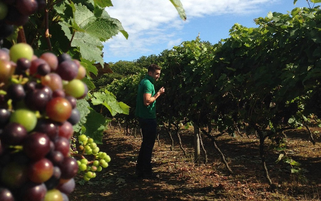 Bbc Kents Walk For Life Feature
