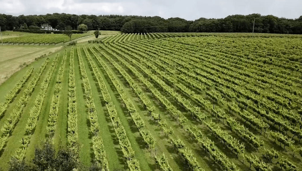 Local Cheeses Now Available At Biddenden Vineyards