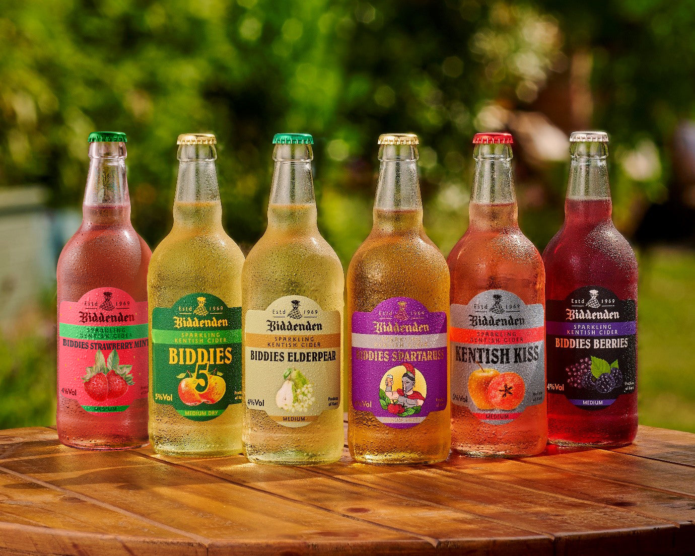 Biddies Mixed Case Selection