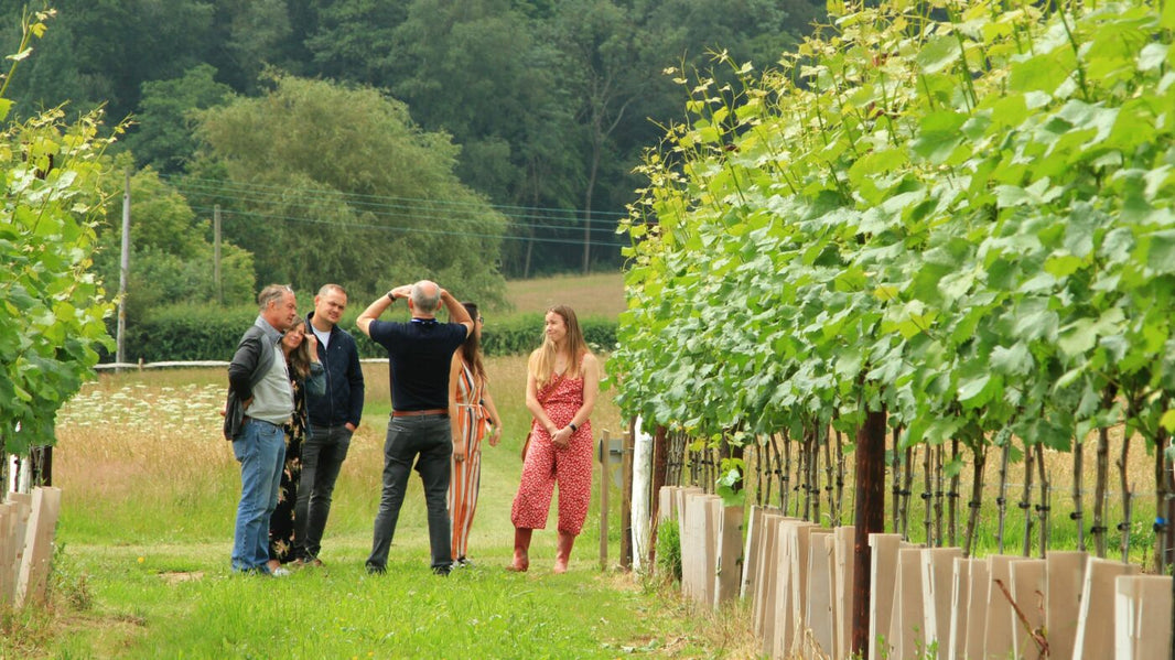 image in image with text