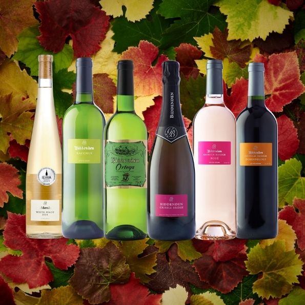 Collection of wine bottles with labels against a colorful autumn leaf background