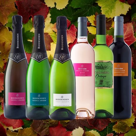 Collection of Biddenden wine bottles on a leafy background