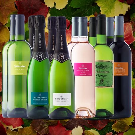 Collection of Biddenden wine bottles with colourful labels against a leafy background