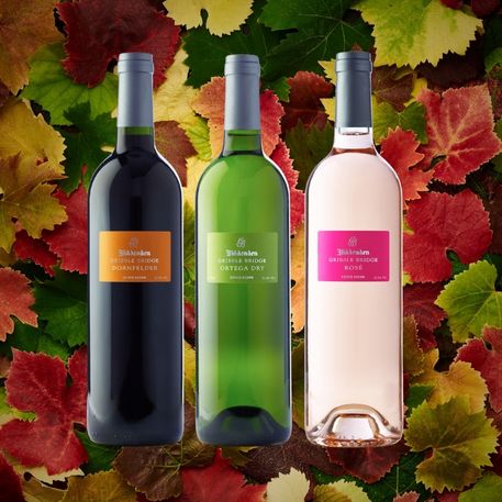 Three wine bottles with labels on a background of autumn leaves