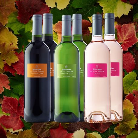 Six wine bottles with labels on a background of autumn leaves