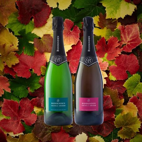 Two bottles of Biddenden Sparkling wine on a colourful leaf background