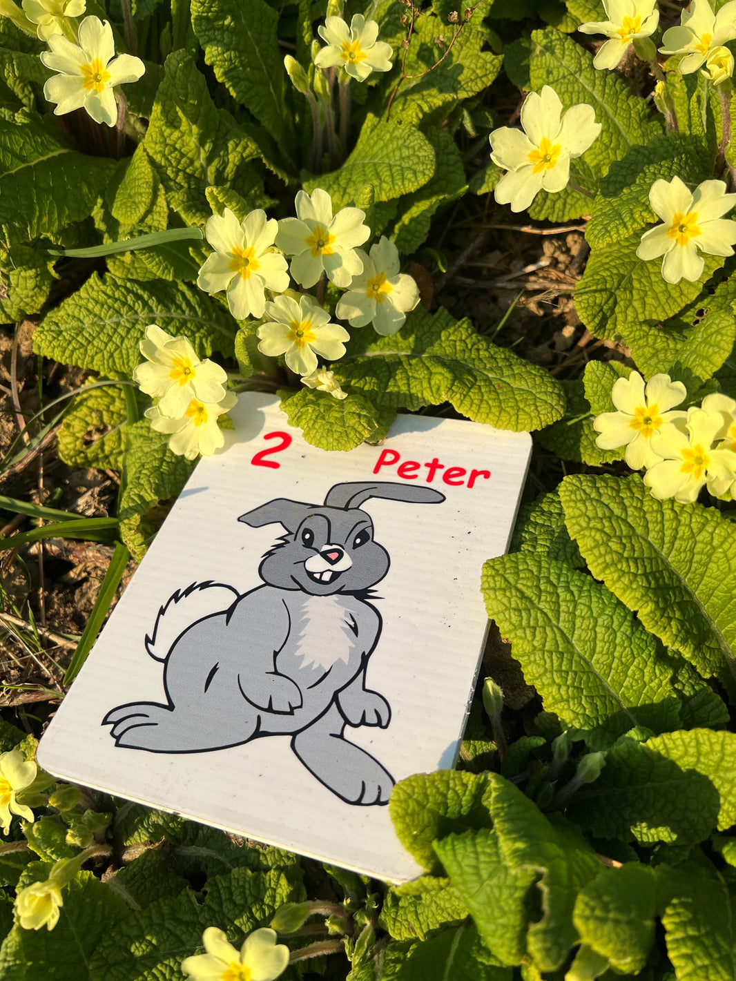 image in image with text