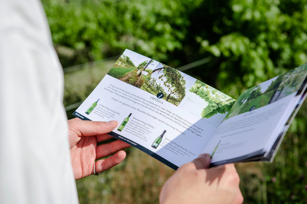 image in image with text