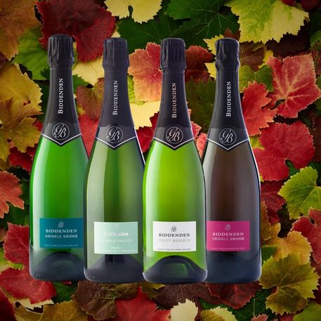 Four bottles of Biddenden Sparkling wine on a background of autumn leaves