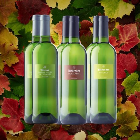 Three bottles of wine with labels on a background of autumn leaves.