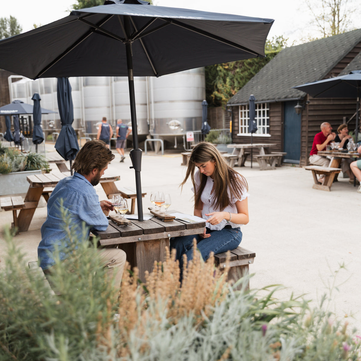 Biddenden Vineyard's Self-Guided Tour