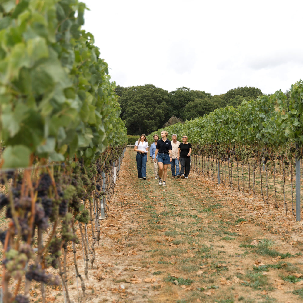 Biddenden Vineyard's Open Tour