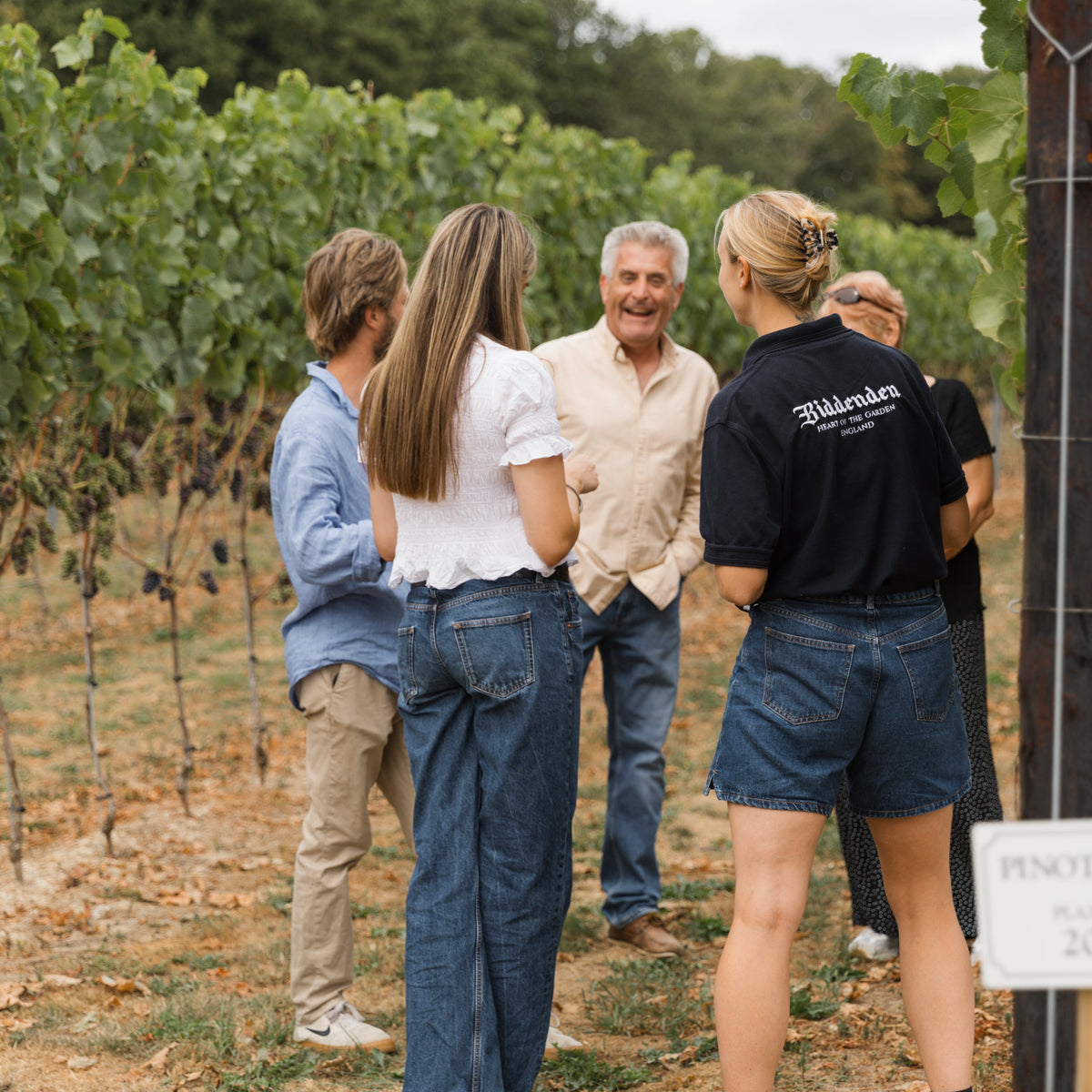 Biddenden Vineyard's Private Guided Tour