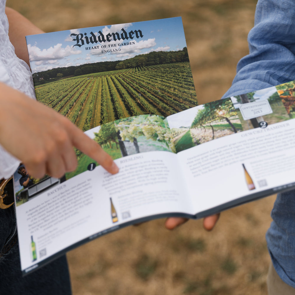 Biddenden Vineyard's Self-Guided Tour
