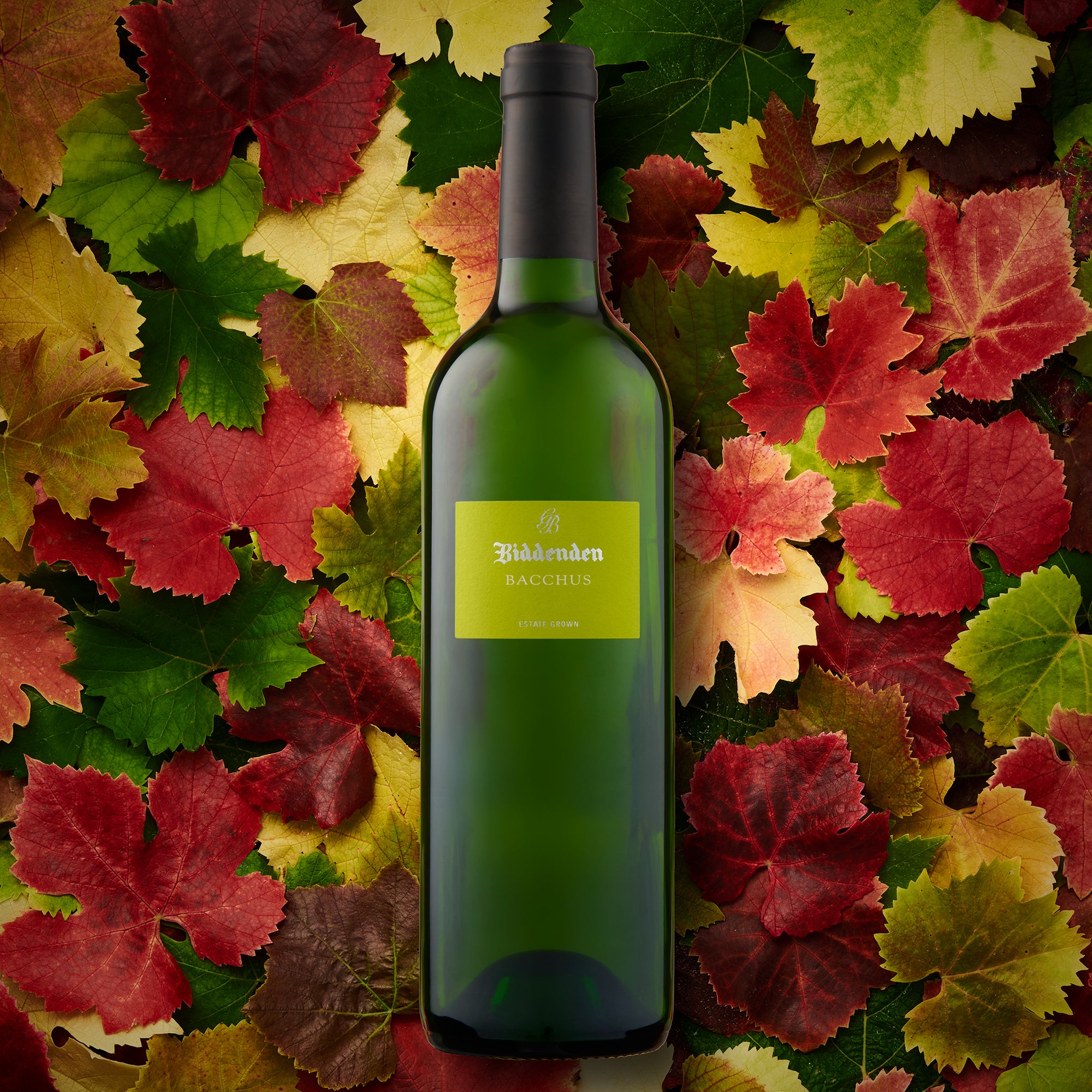 Bacchus 2023 – Biddenden Vineyards