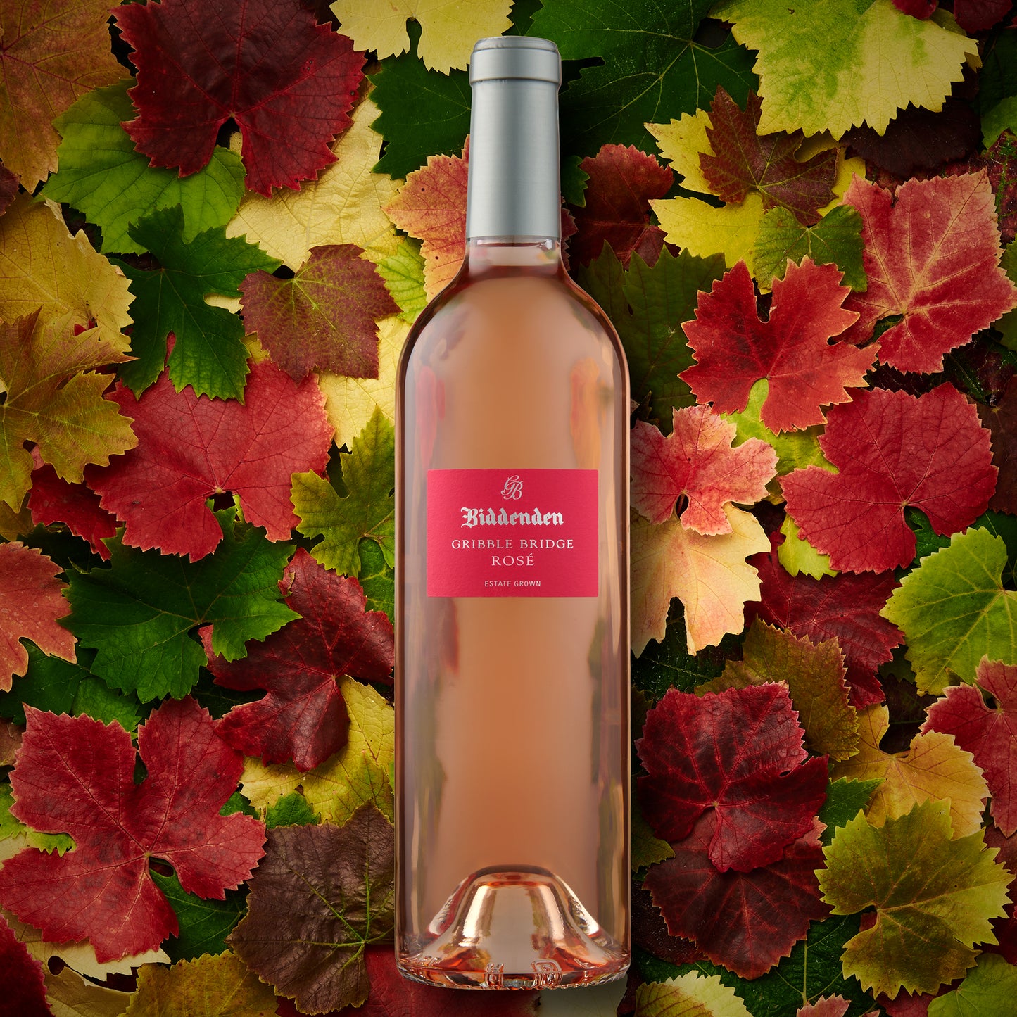 Gribble Bridge Rosé 2024