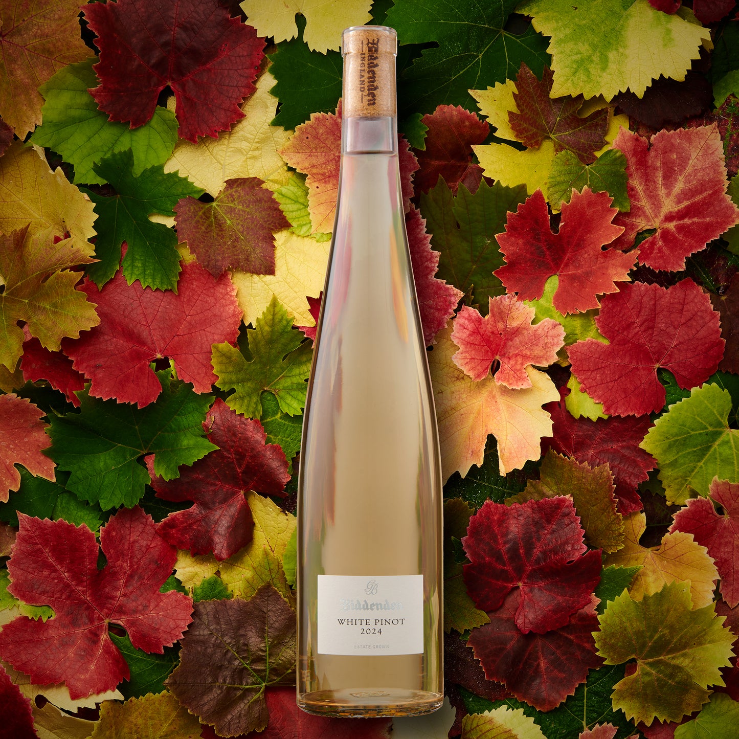 Biddenden White Pinot Noir 2024