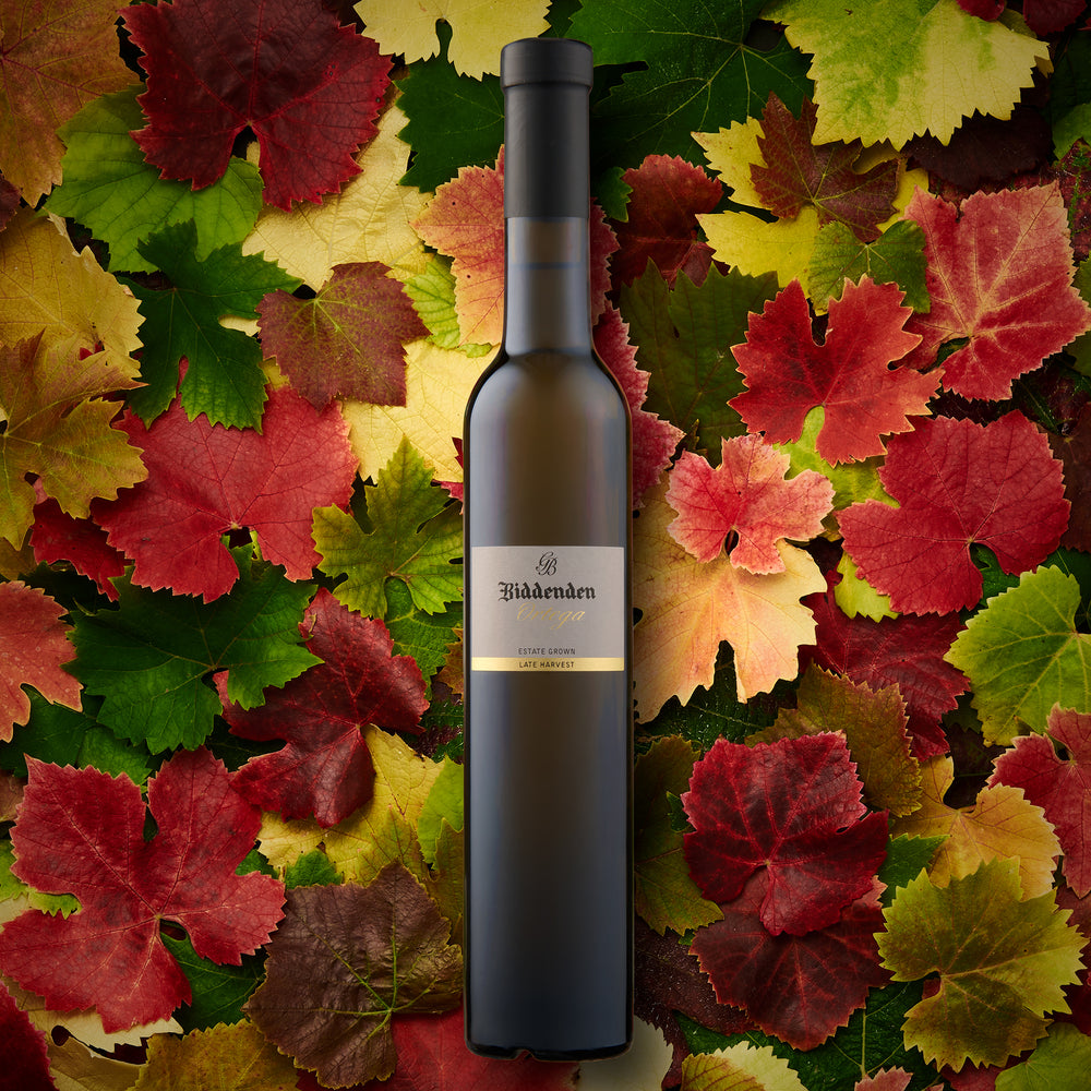 Ortega Late Harvest 2018