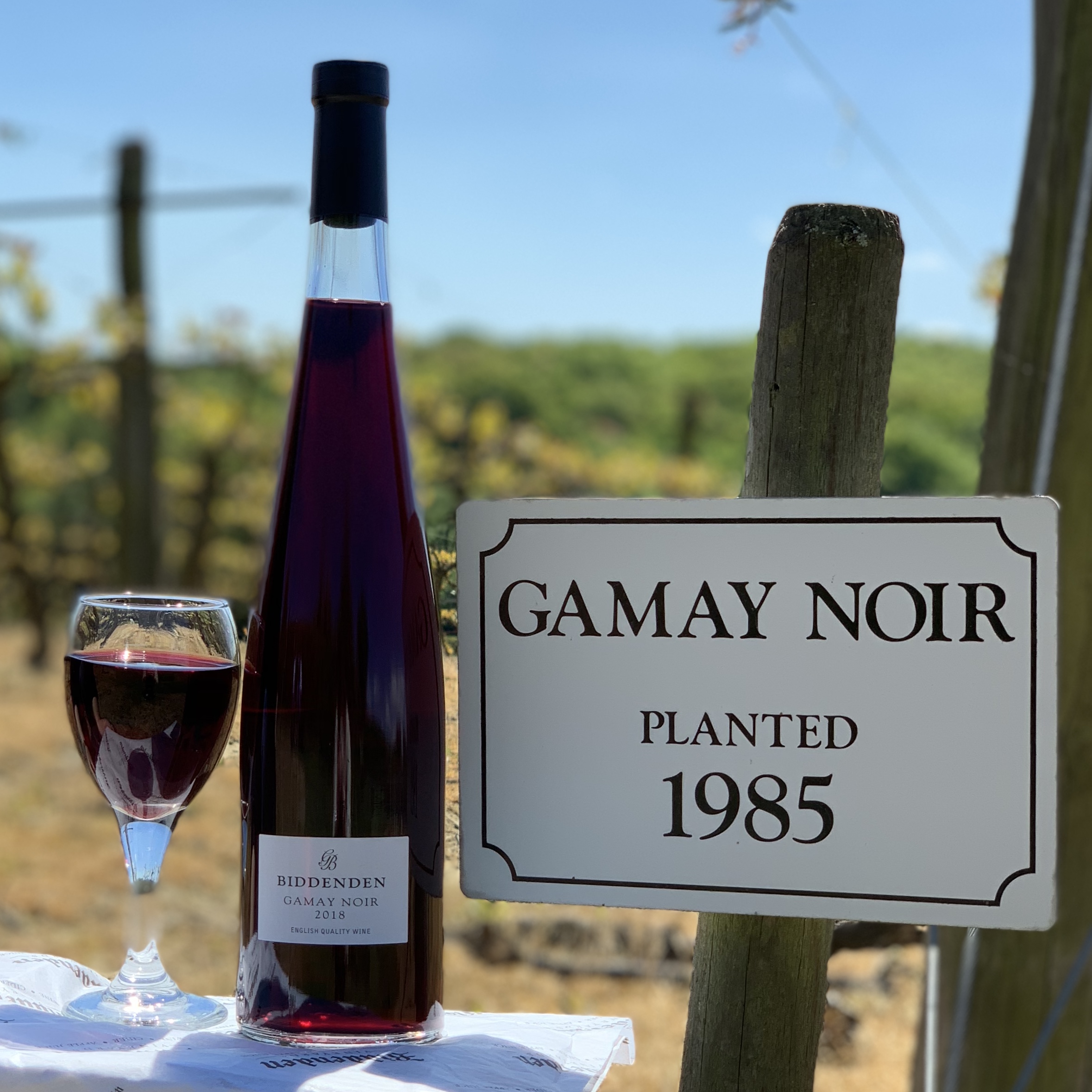 Biddenden Gamay Noir 2018 English wine week 2019 wine of