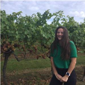 Experience a working vineyard at Biddenden