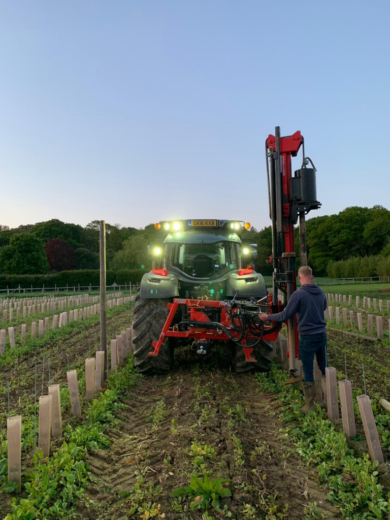 Biddenden Kent newest vineyard