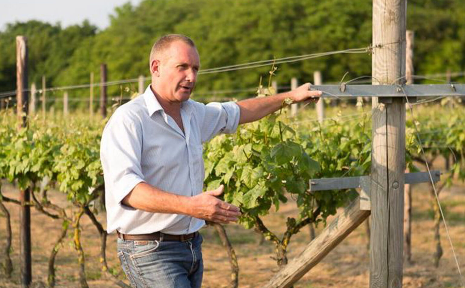 Meet the Winemaker Tours - Biddenden Vineyards